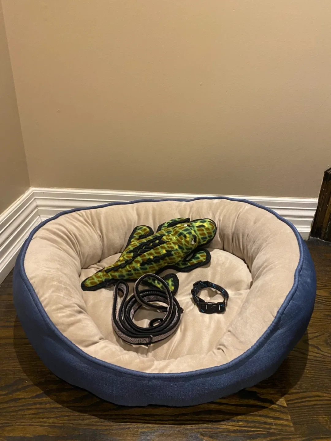 Brand new Dog Bed, Leash, Collar & Toy