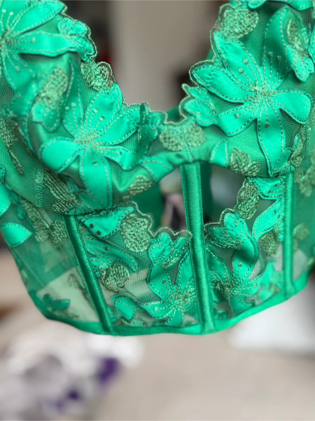 Victoria's Secret Green Corset - Size S image indicator(2)