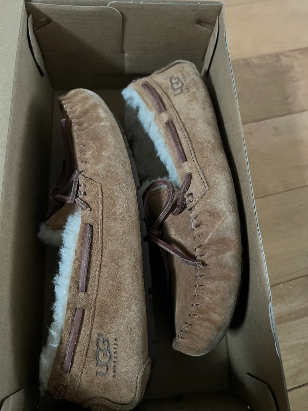 UGG Slipper - Size 5 image indicator(5)