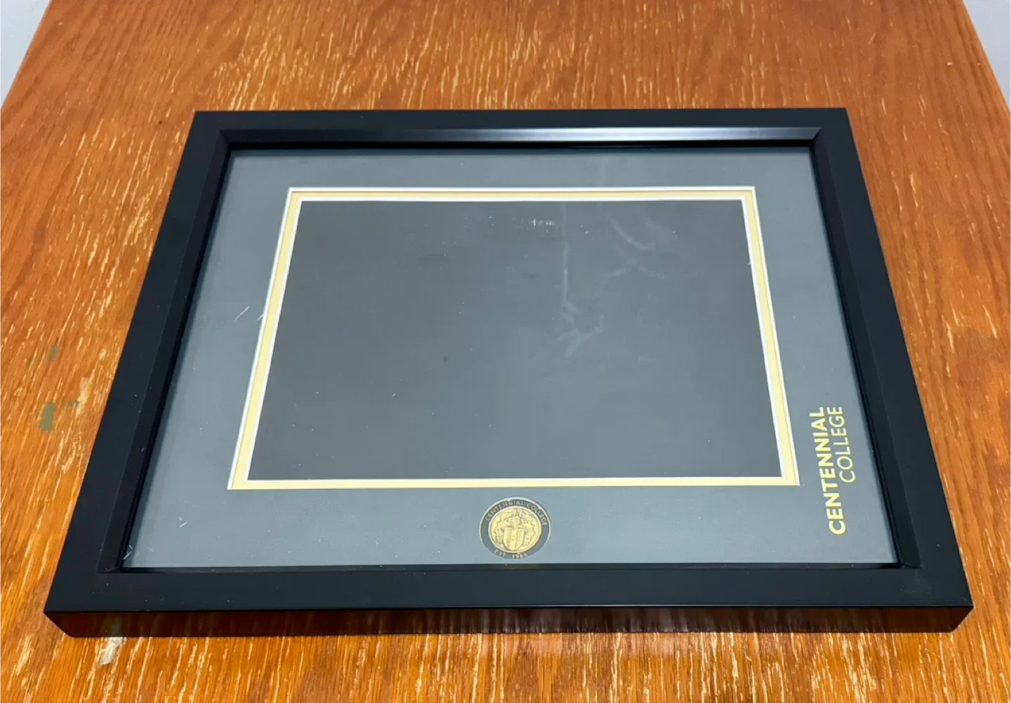 Centennial College Frame