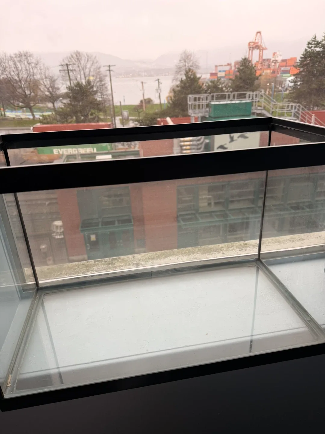 Glass Aquarium 10 gallons