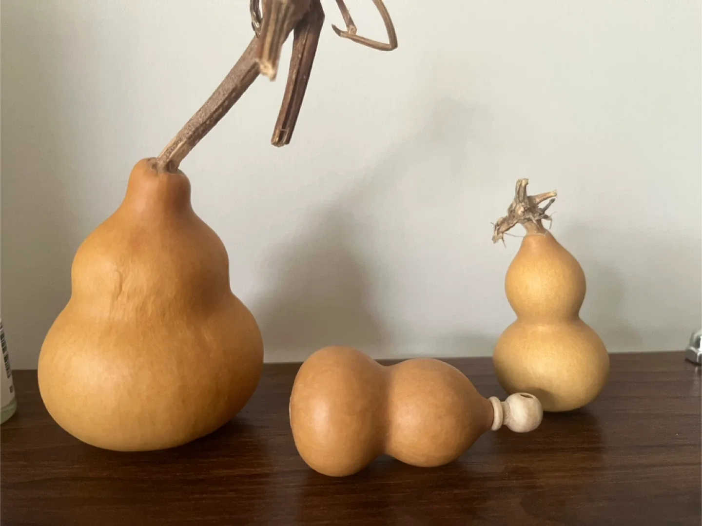 Dried Gourds 3 for $10