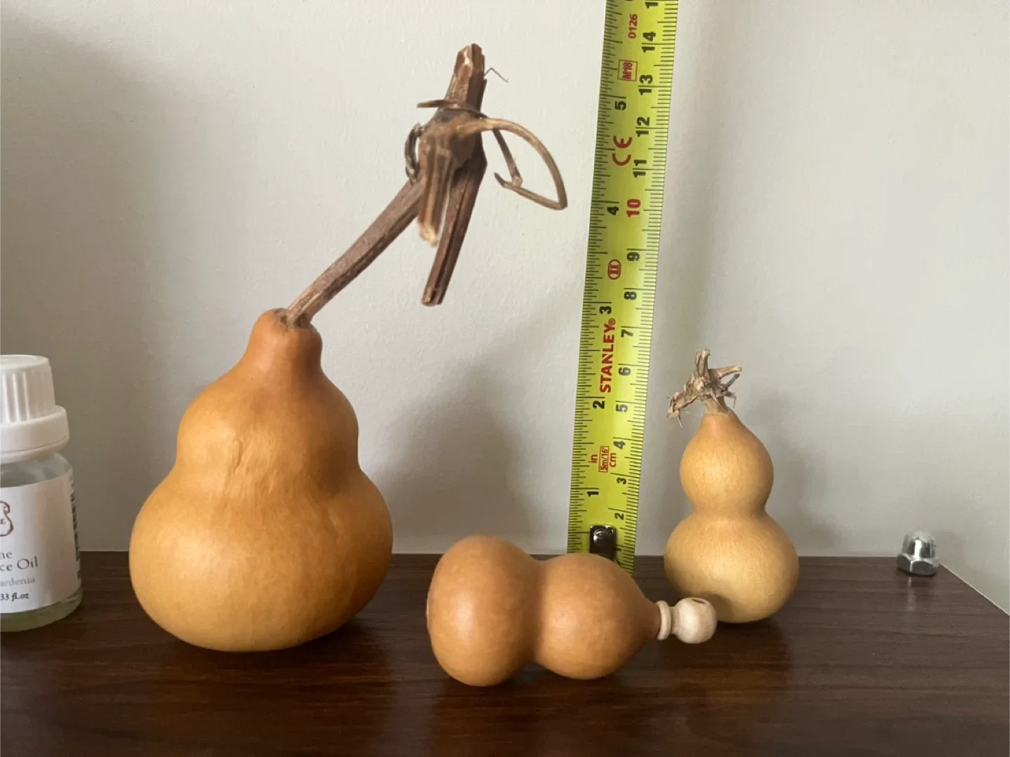 Dried Gourds 3 for $10 image indicator(2)