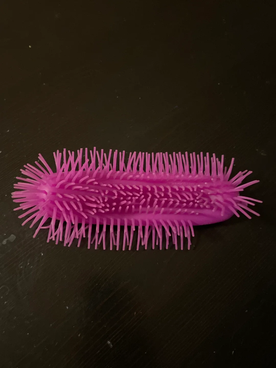 Purple Spiky Sensory Toy