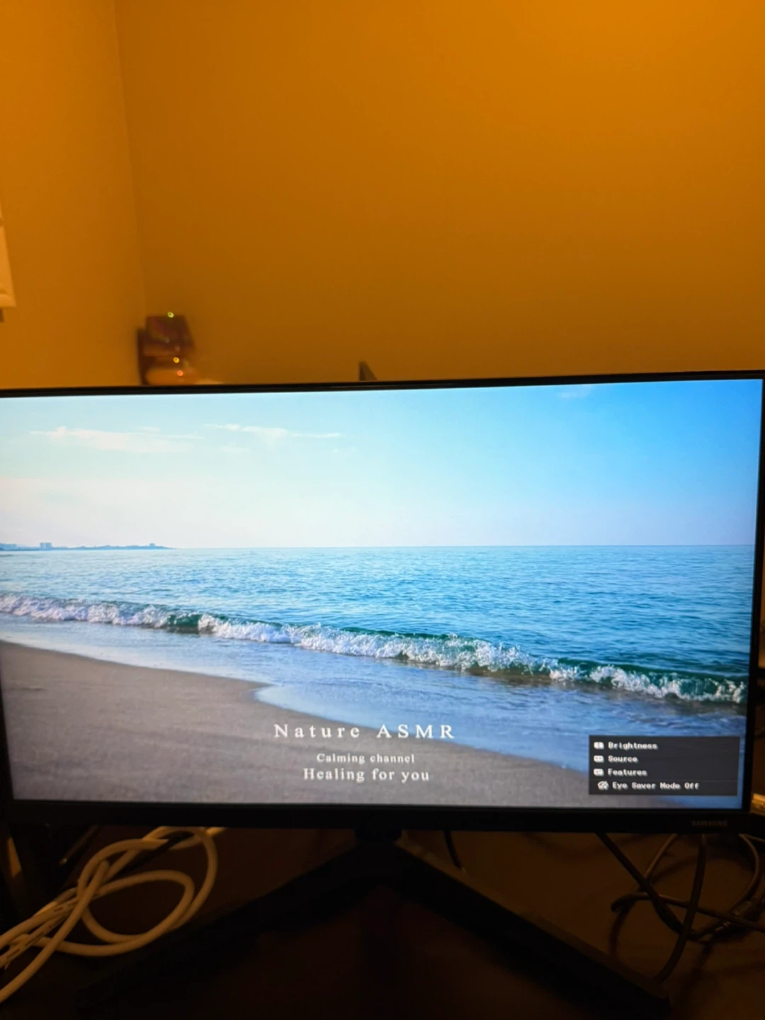Samsung F24T350FHN 24" Monitor