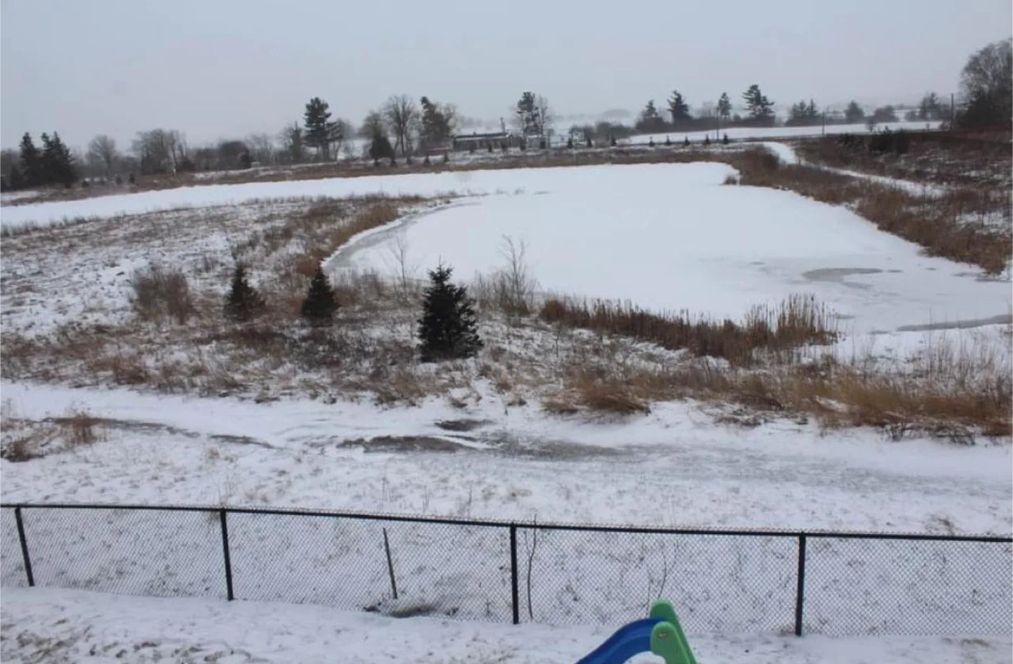 Renting walkout basement available from 1st January image indicator(10)