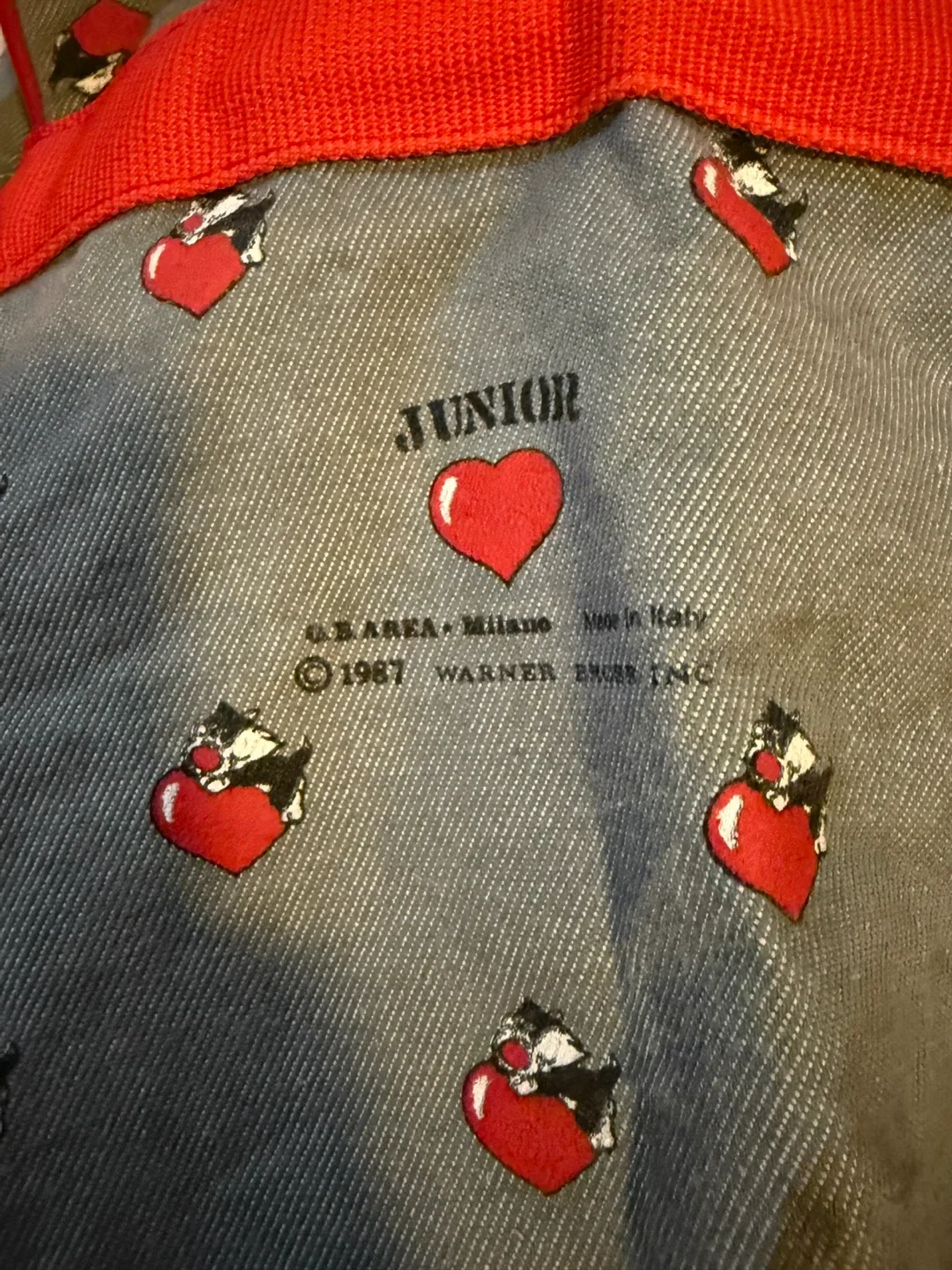 Junior Warner Bros vintage Backpack image indicator(2)