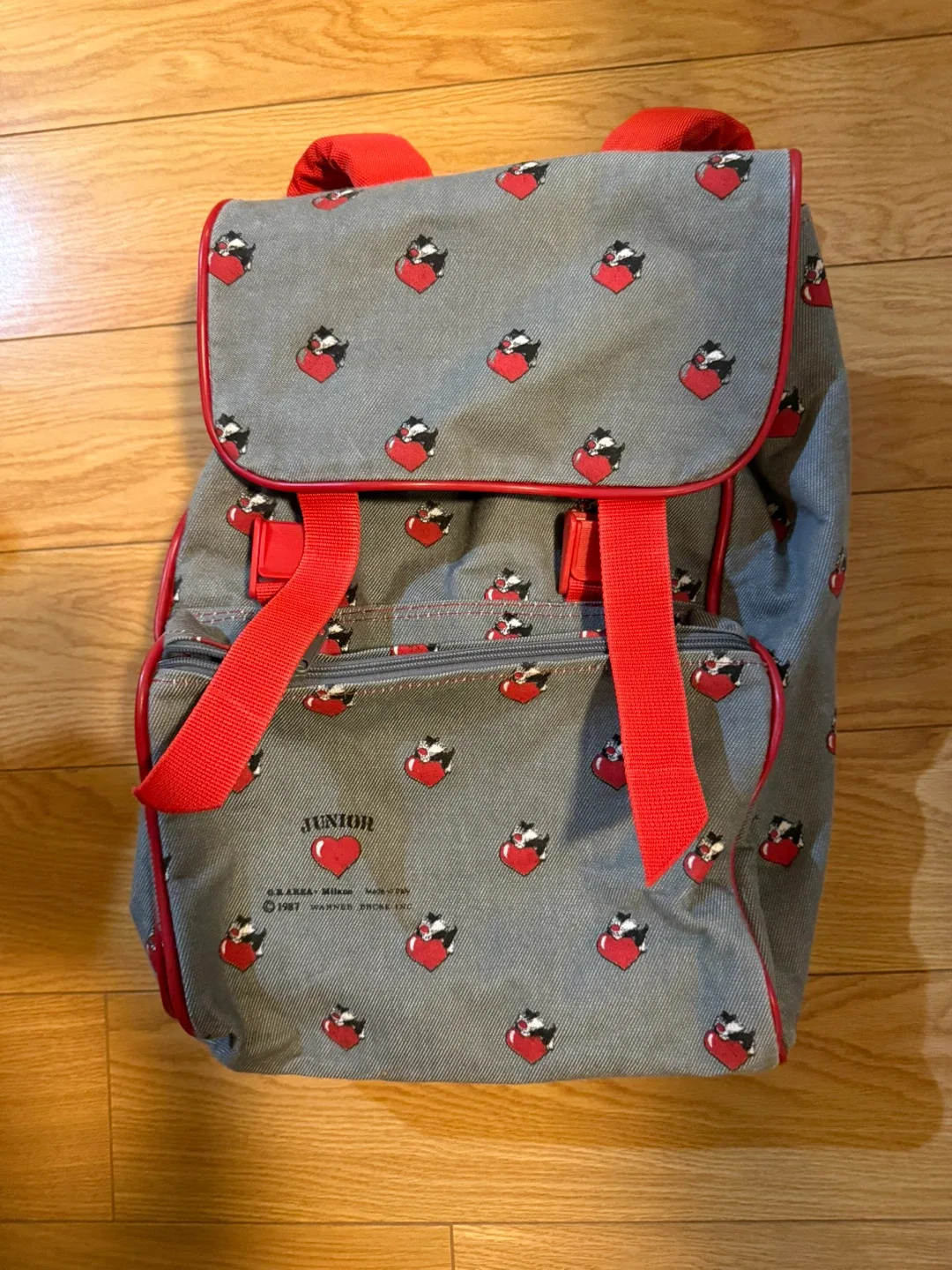 Junior Warner Bros vintage Backpack image indicator(3)