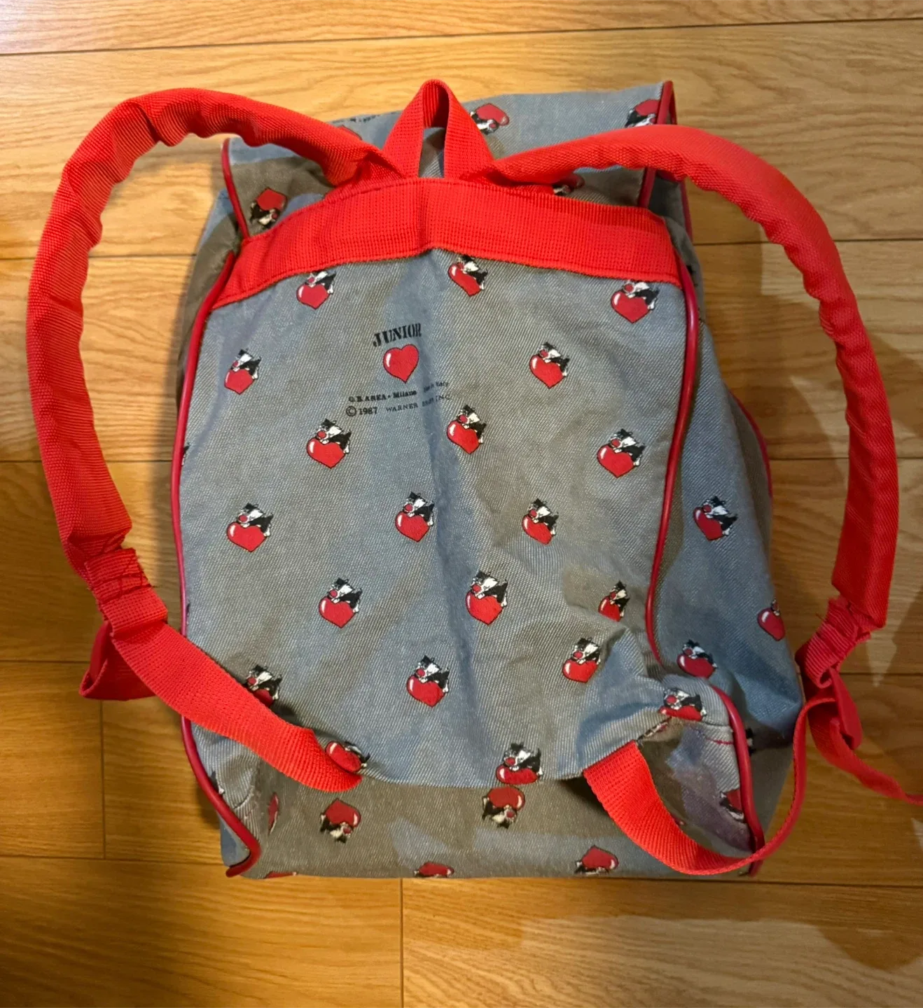 Junior Warner Bros vintage Backpack image indicator(4)