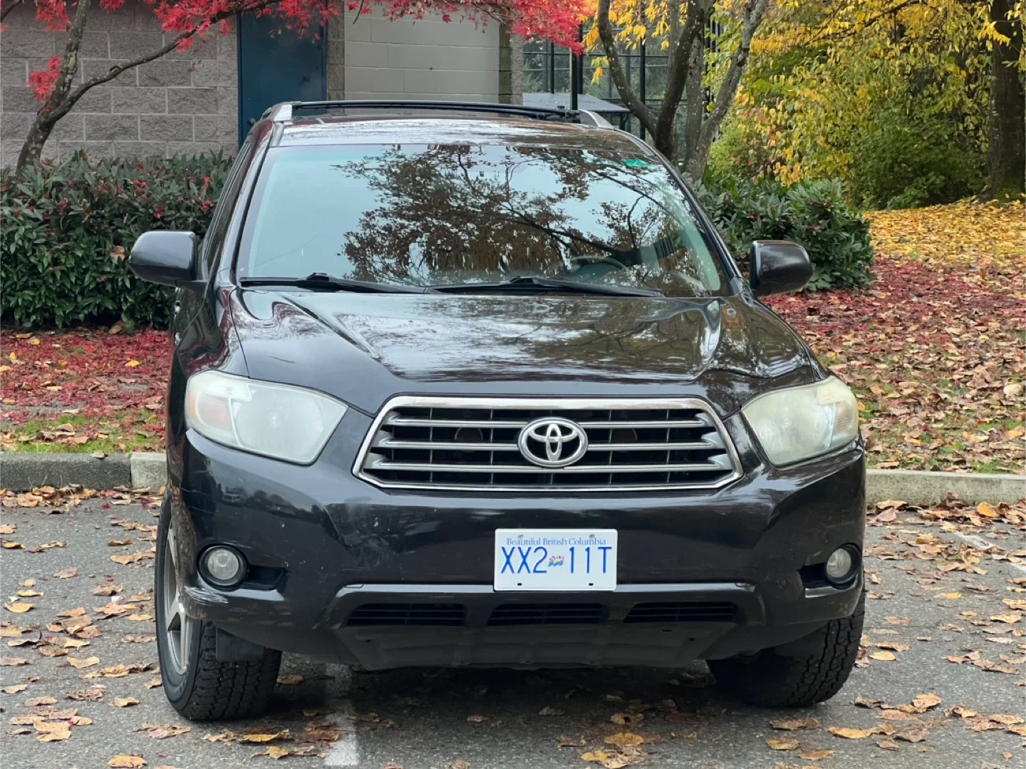 Toyota Highlander SUV - Black image indicator(2)