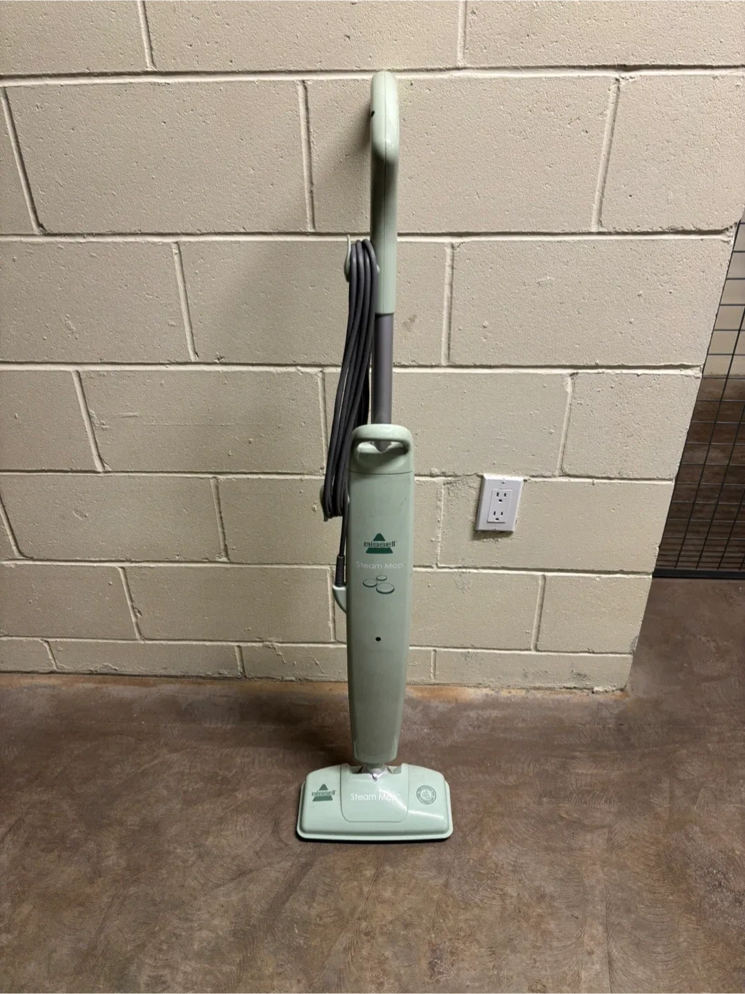 Bissell Steam Mop - Light Green