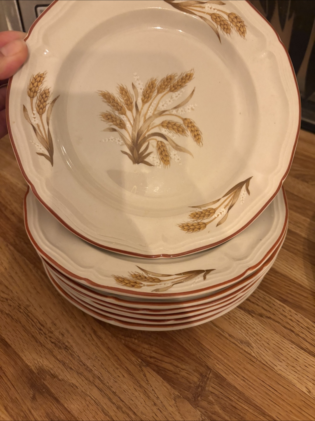 Brick Oven Stoneware Plates