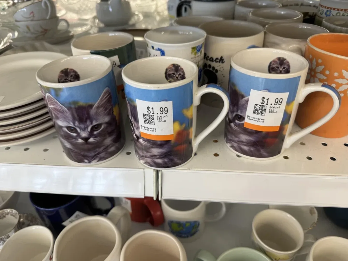 ISO Kitty Mug image indicator(2)