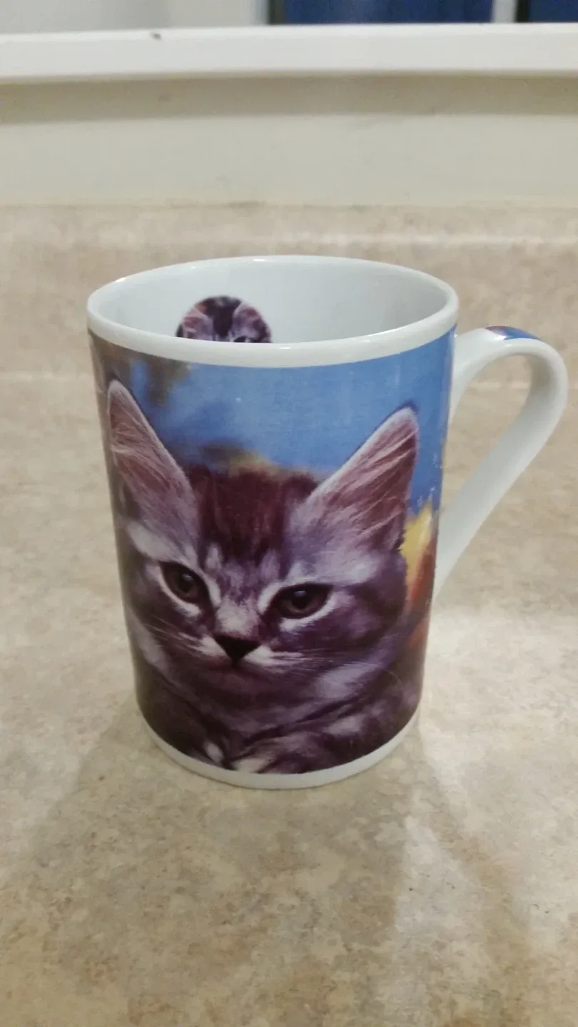 ISO Kitty Mug