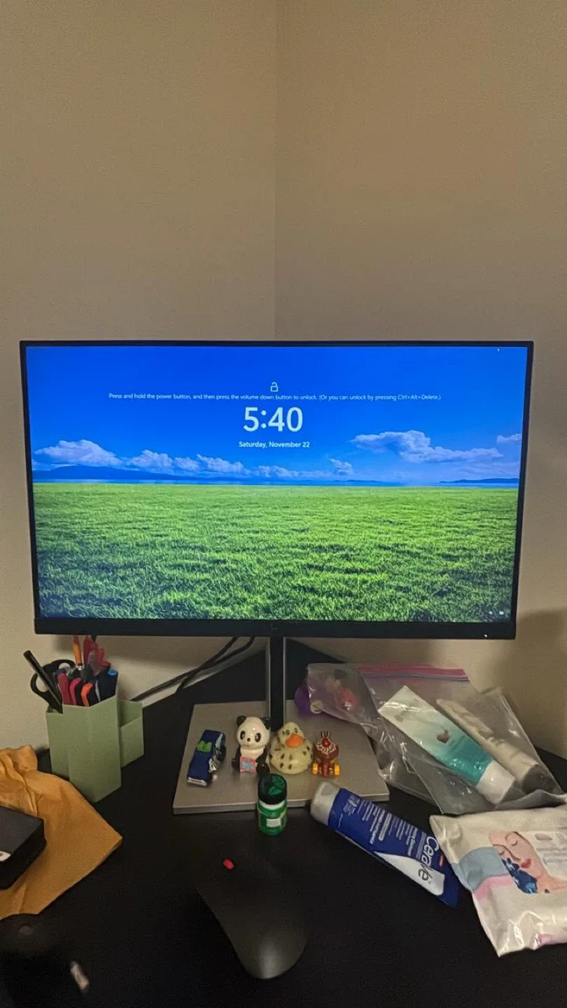 HP 24 inch Monitor