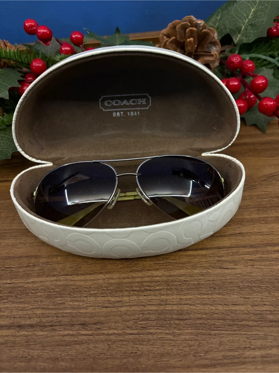 Coach Aviator Sunglasses with Case