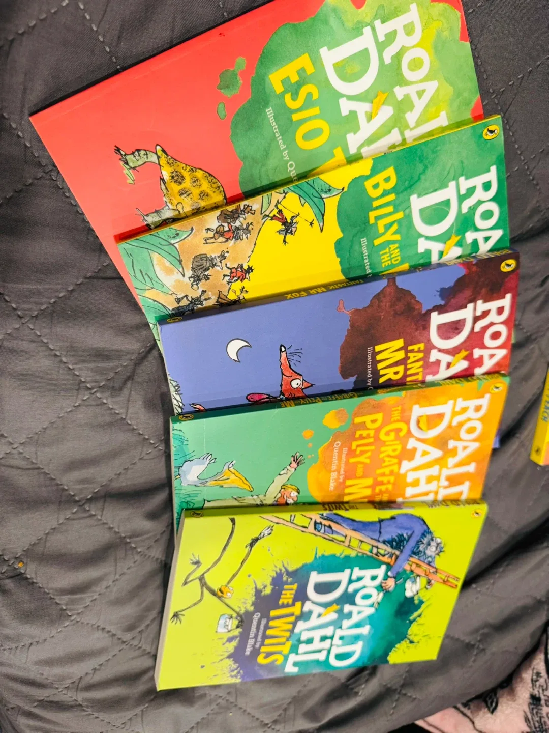 Roald Dahl Book Collection image indicator(2)