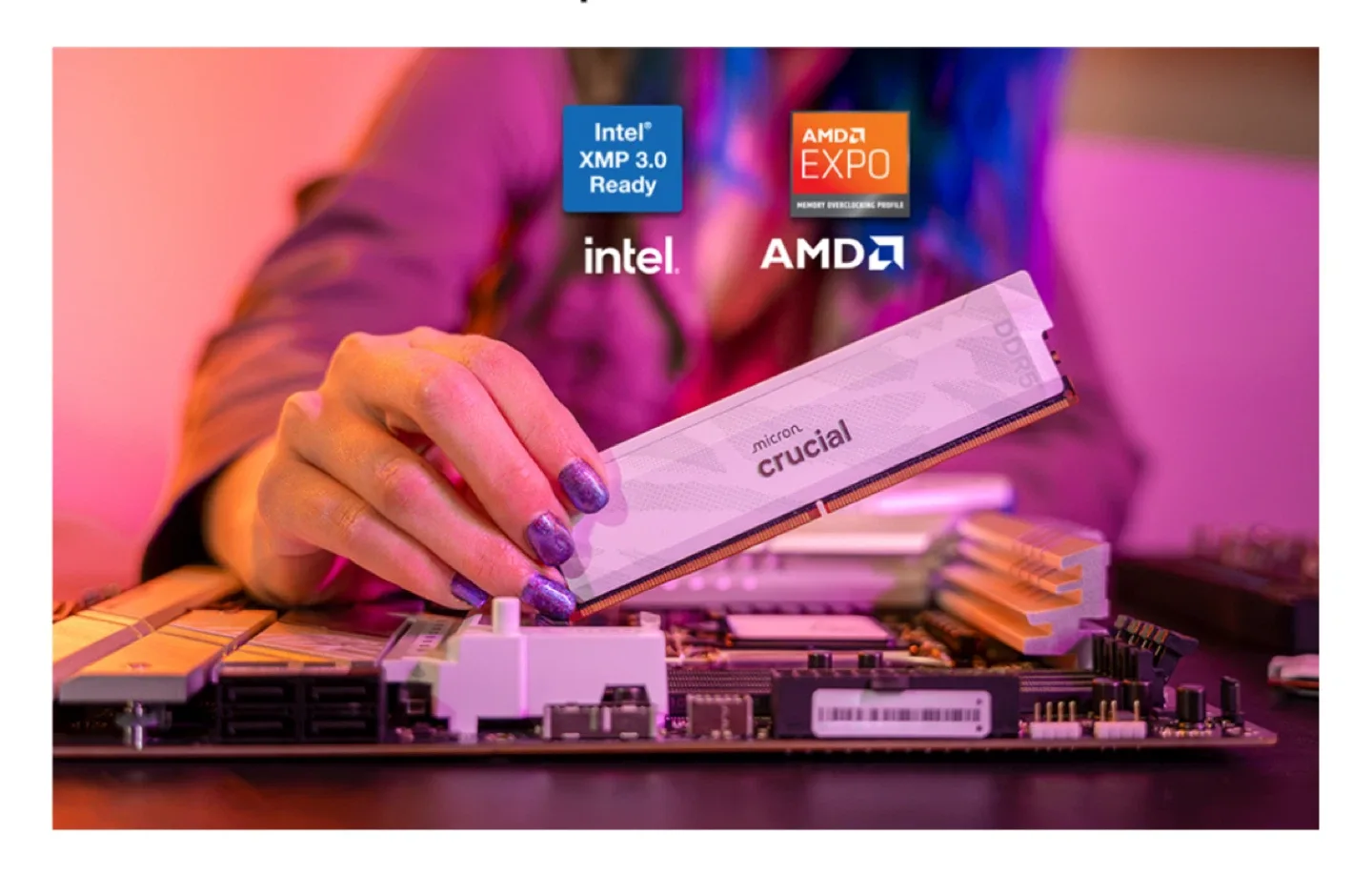 Crucial DDR5 Pro Series 6400MHz CL32 RAM