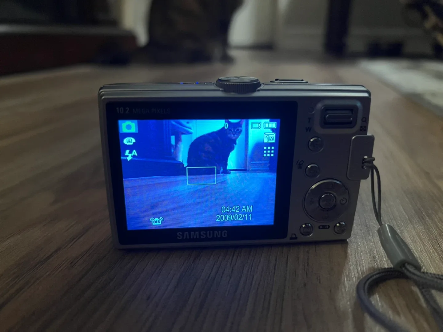 Samsung L210 Digital Camera image indicator(2)