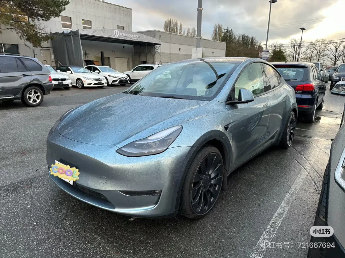 2022 Tesla Model Y Performance