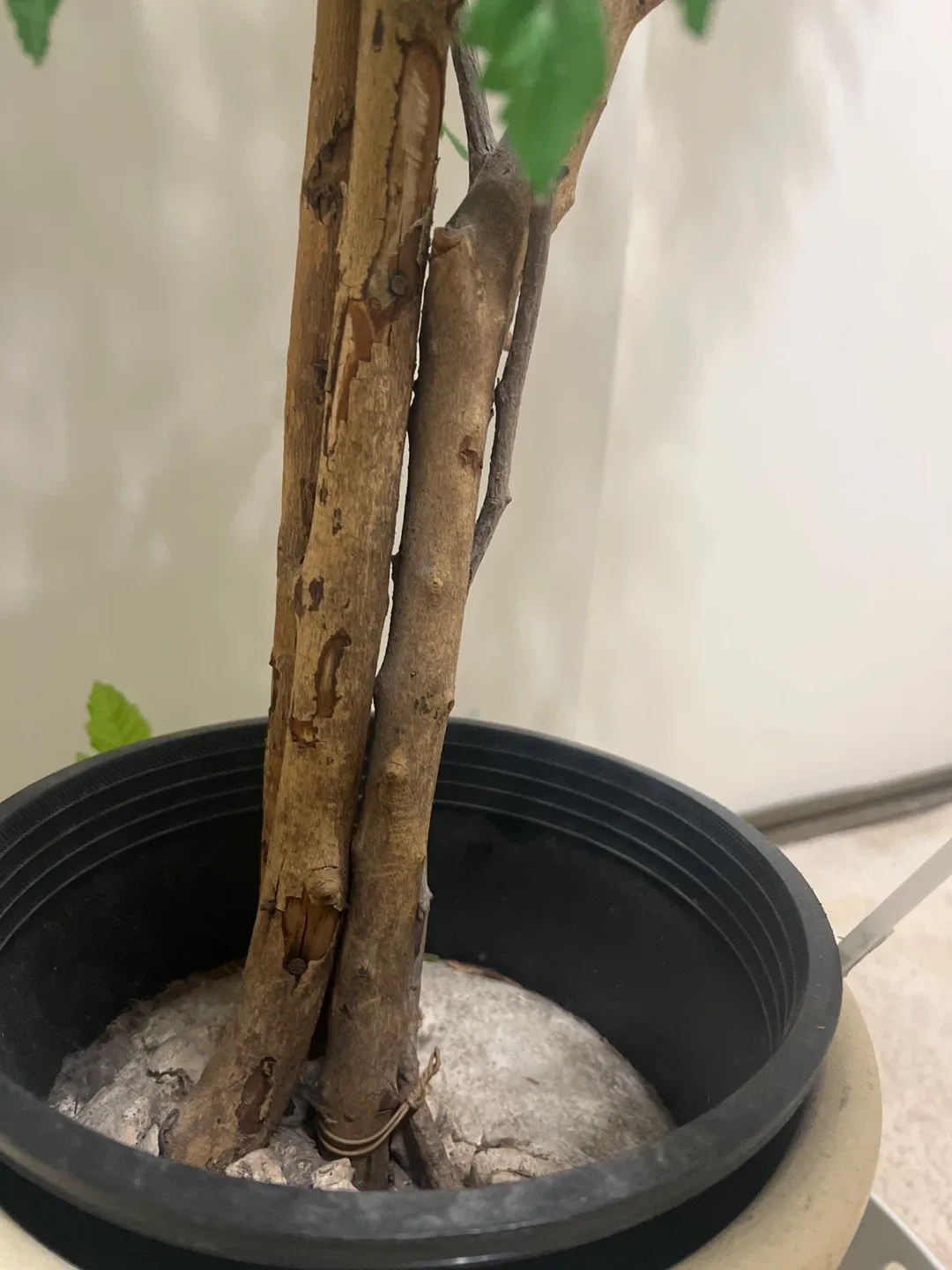 Artificial Tree in Pot image indicator(3)