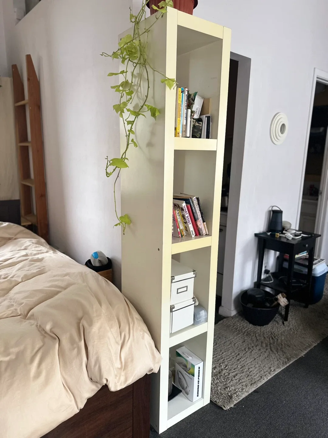IKEA Billy Bookcase - Narrow