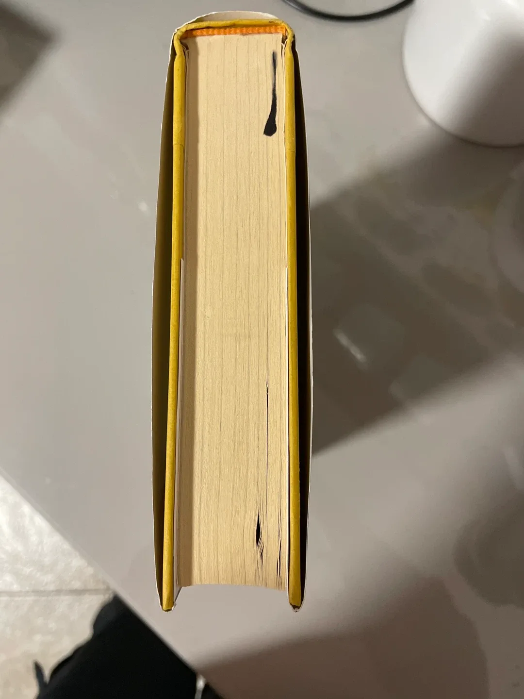 The Ramblers by Aidan Donnelley Rowley image indicator(4)