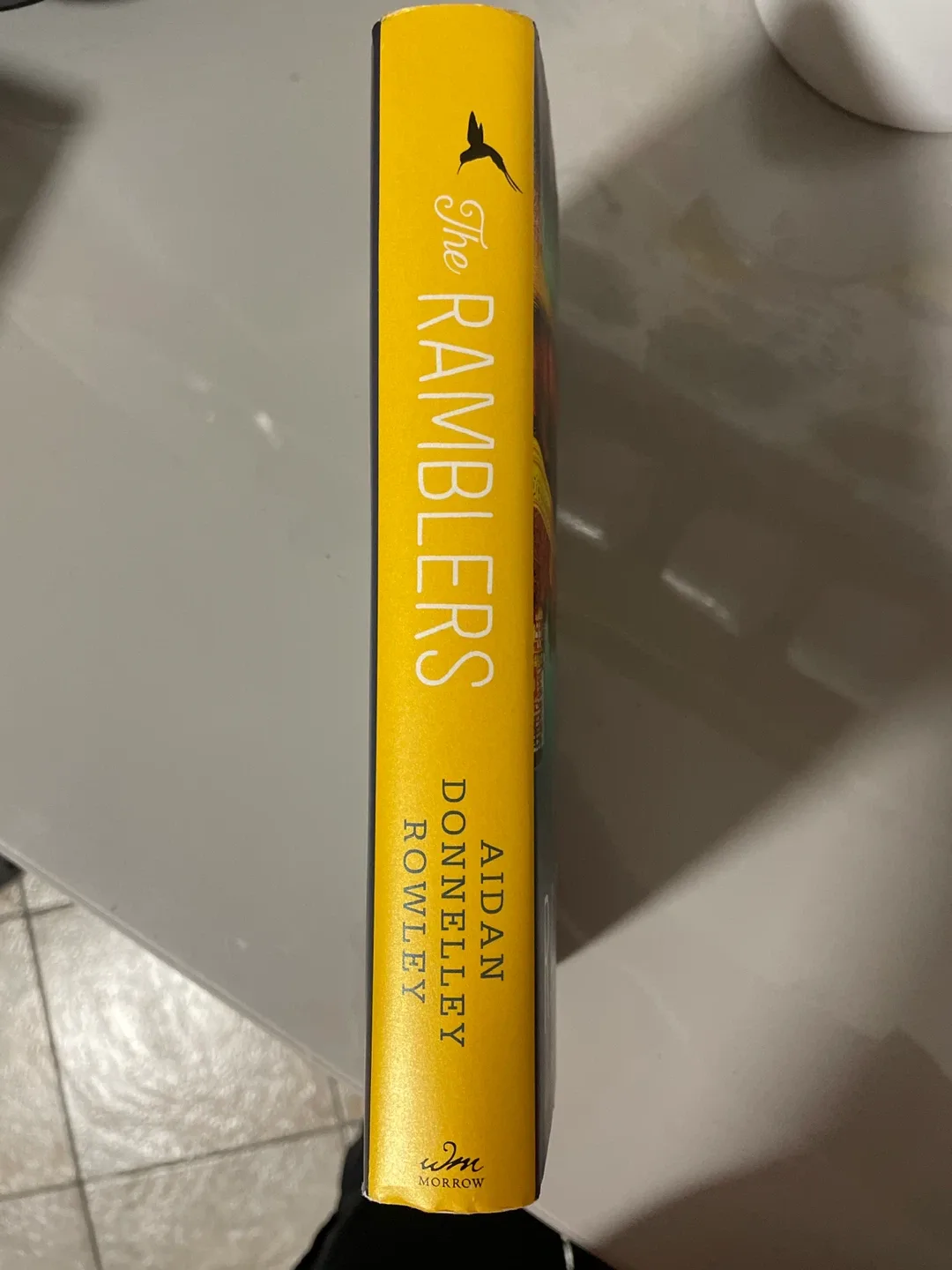 The Ramblers by Aidan Donnelley Rowley image indicator(3)