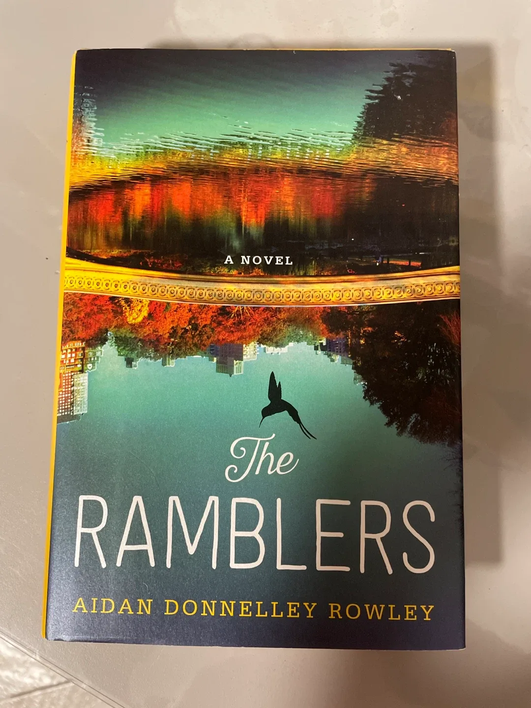 The Ramblers by Aidan Donnelley Rowley