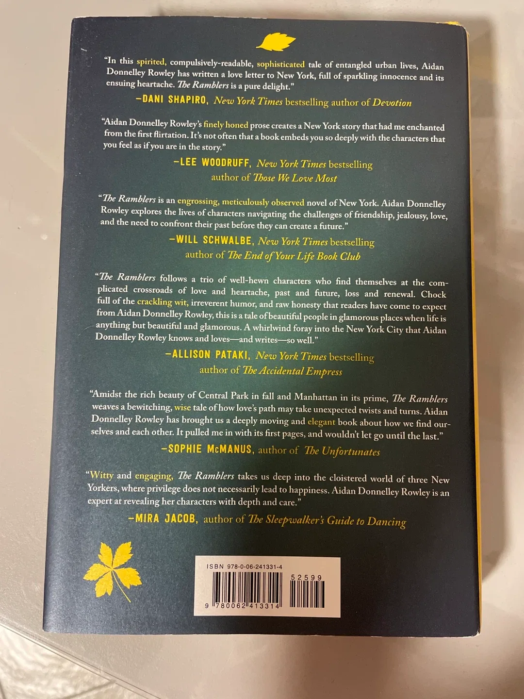 The Ramblers by Aidan Donnelley Rowley image indicator(2)