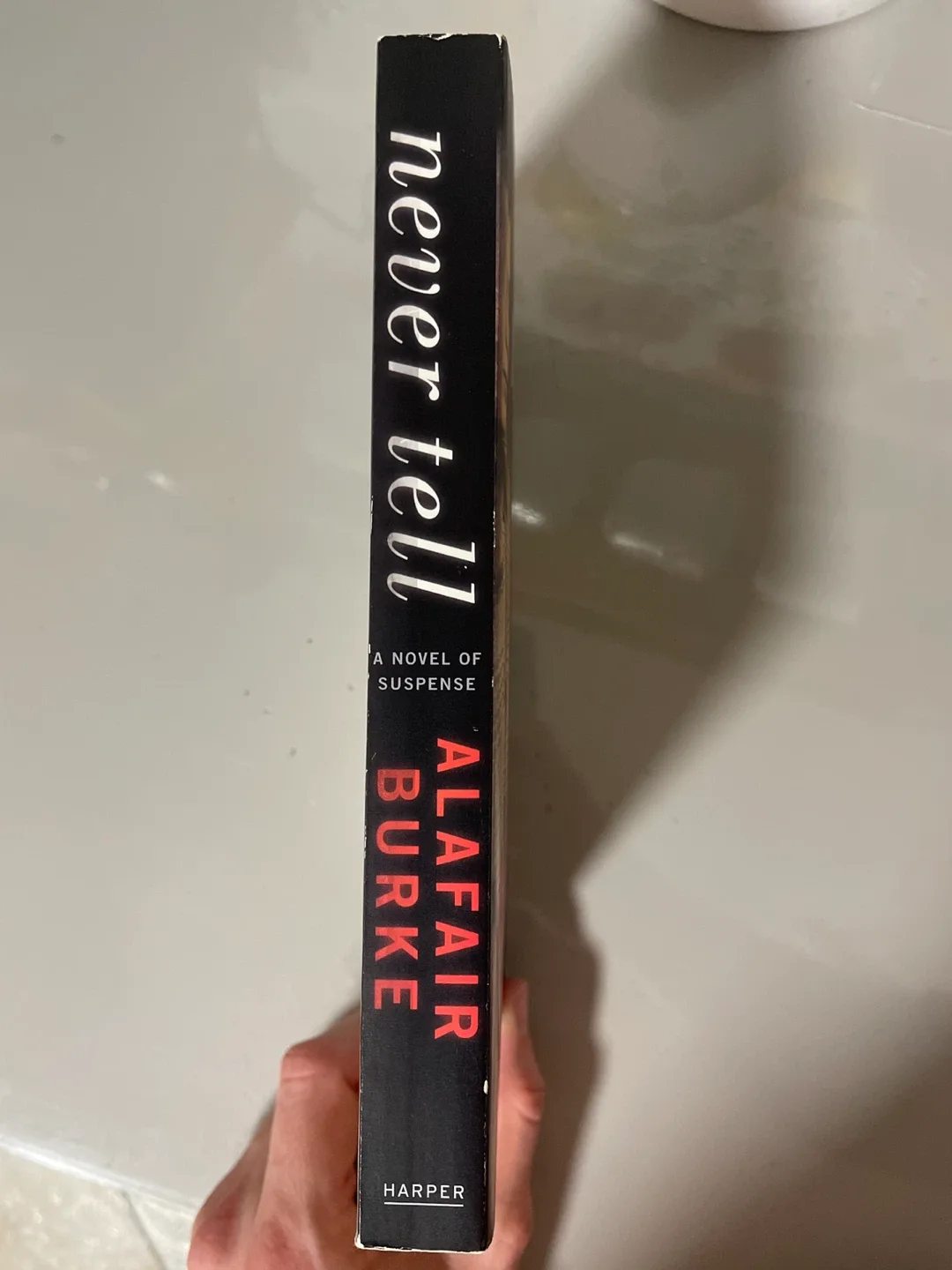 Never Tell - Alafair Burke Novel image indicator(3)