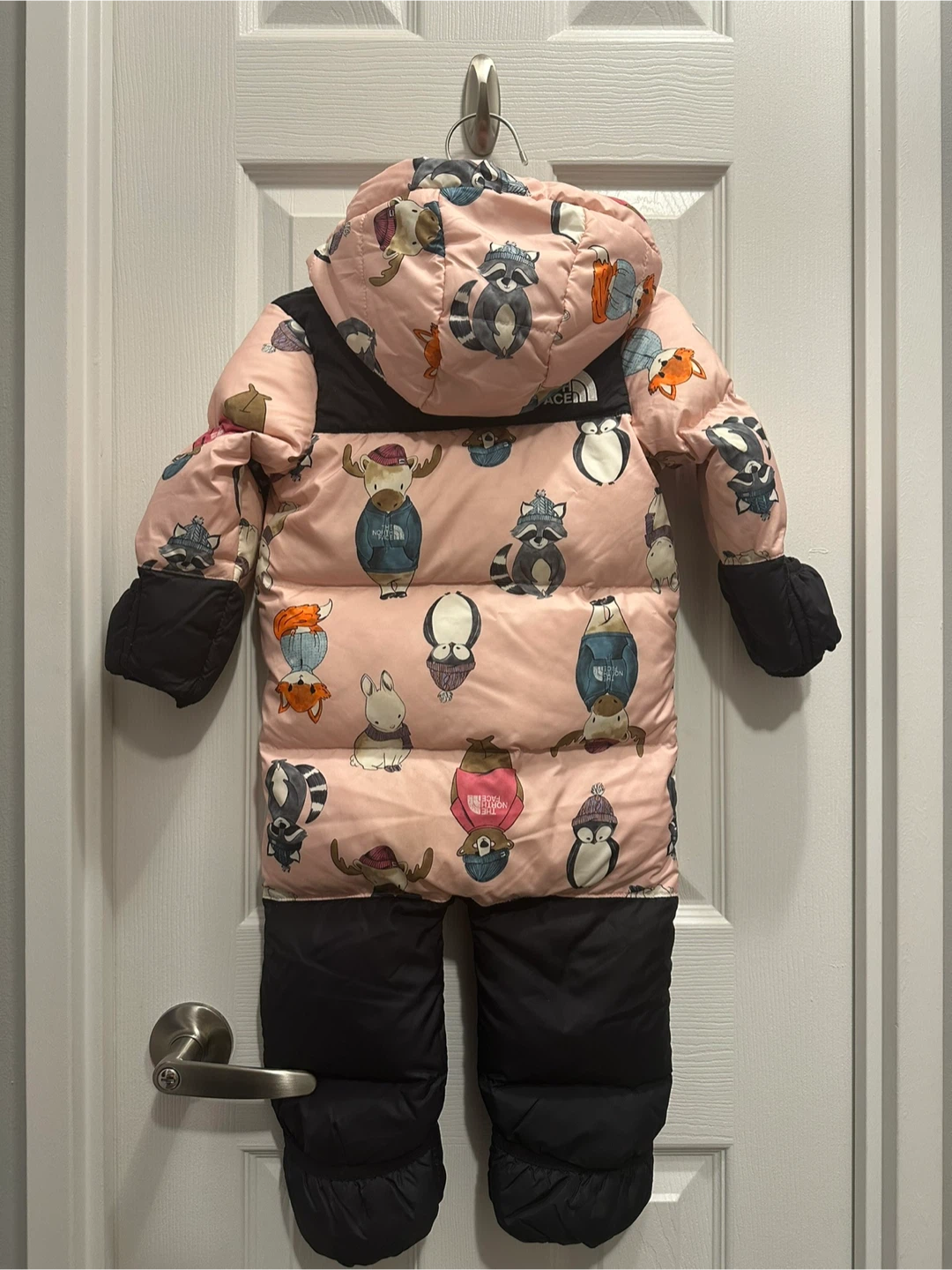 The North Face Infant 12-18M Snowsuit - photo 2