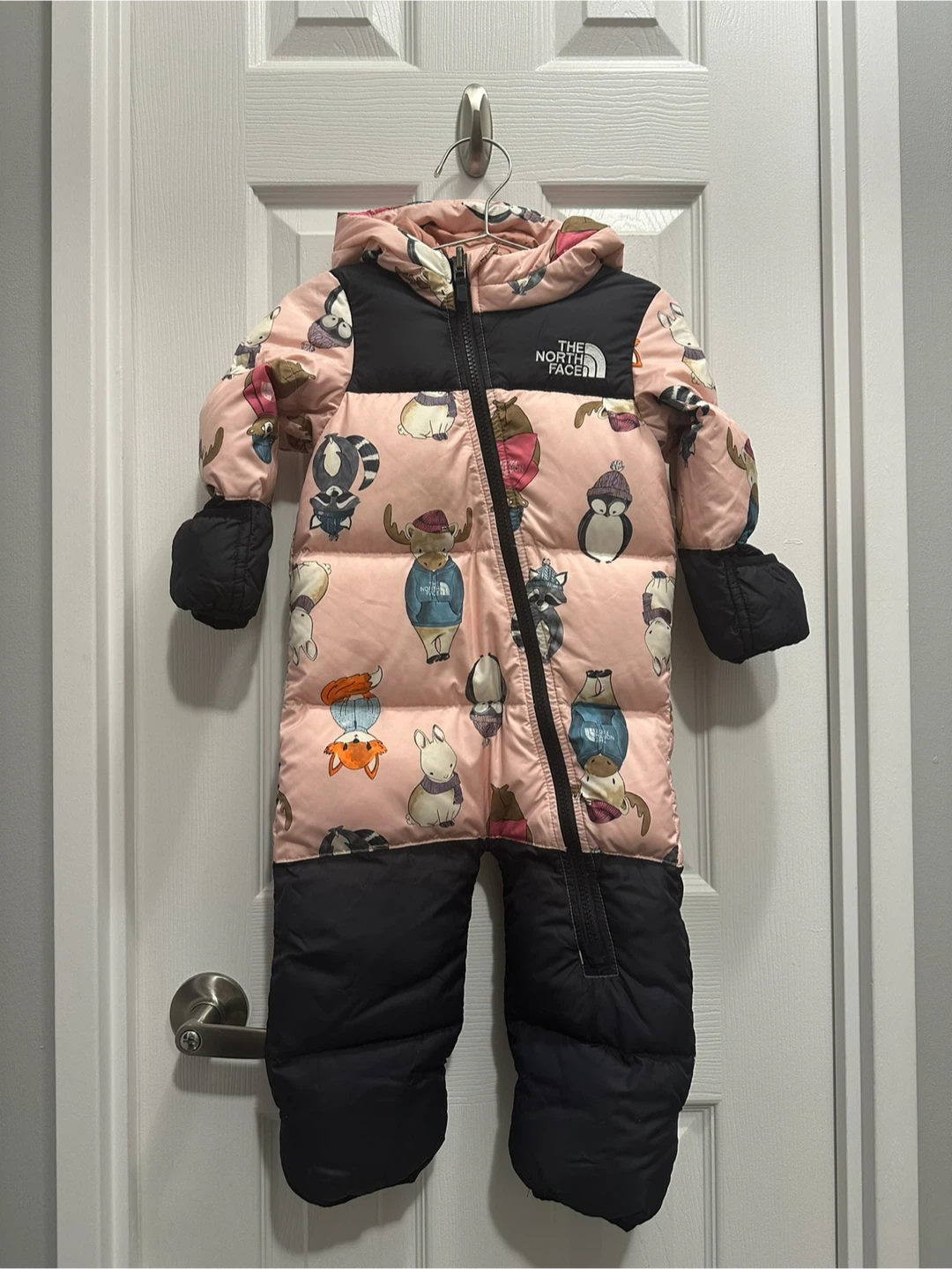 The North Face Infant 12-18M Snowsuit