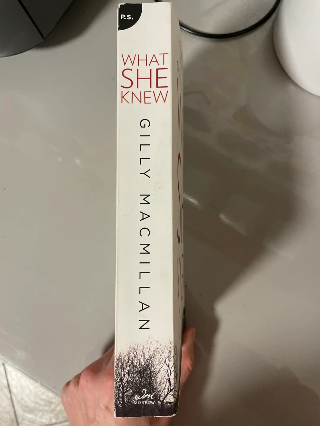 What She Knew by Gilly Macmillan image indicator(3)