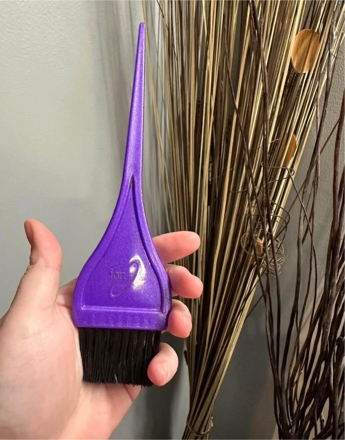 Ion Hair Dye Brush - Purple