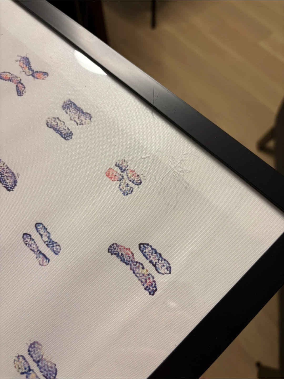 Karyotype prints - photo 2