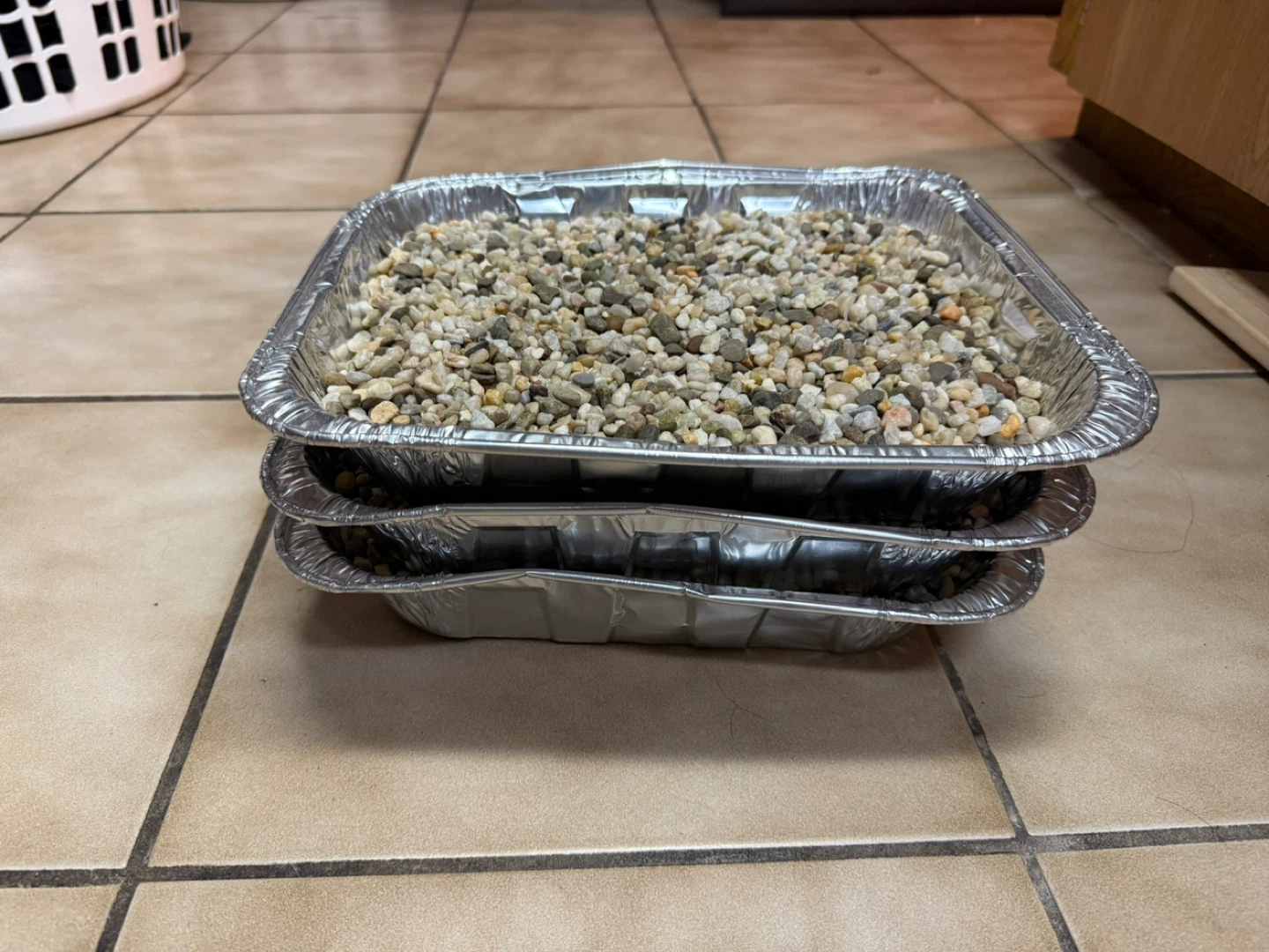 Fish Tank with Accessories - photo 4