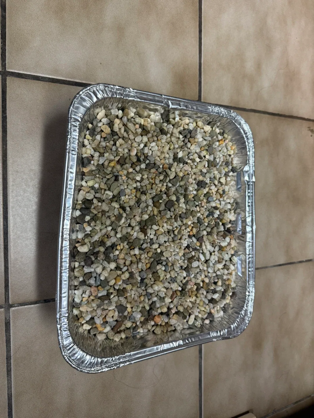 Fish Tank with Accessories image indicator(3)