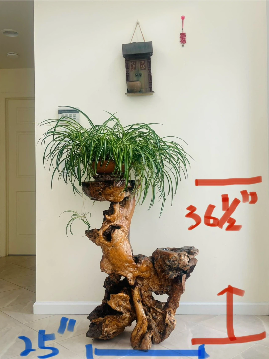 Handcrafted Natural Wooden Stand / Pedestal + FREE Spider Plant - photo 2