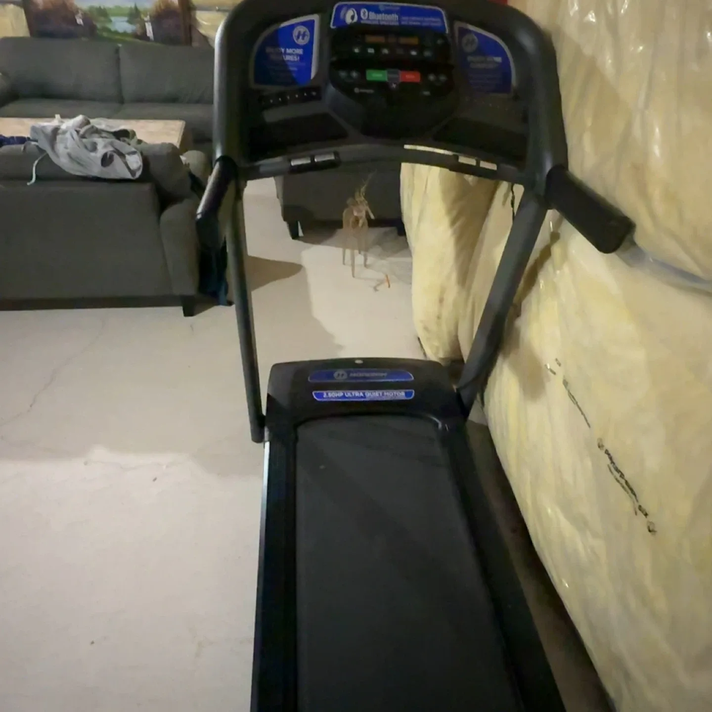 Horizon T101 Treadmill