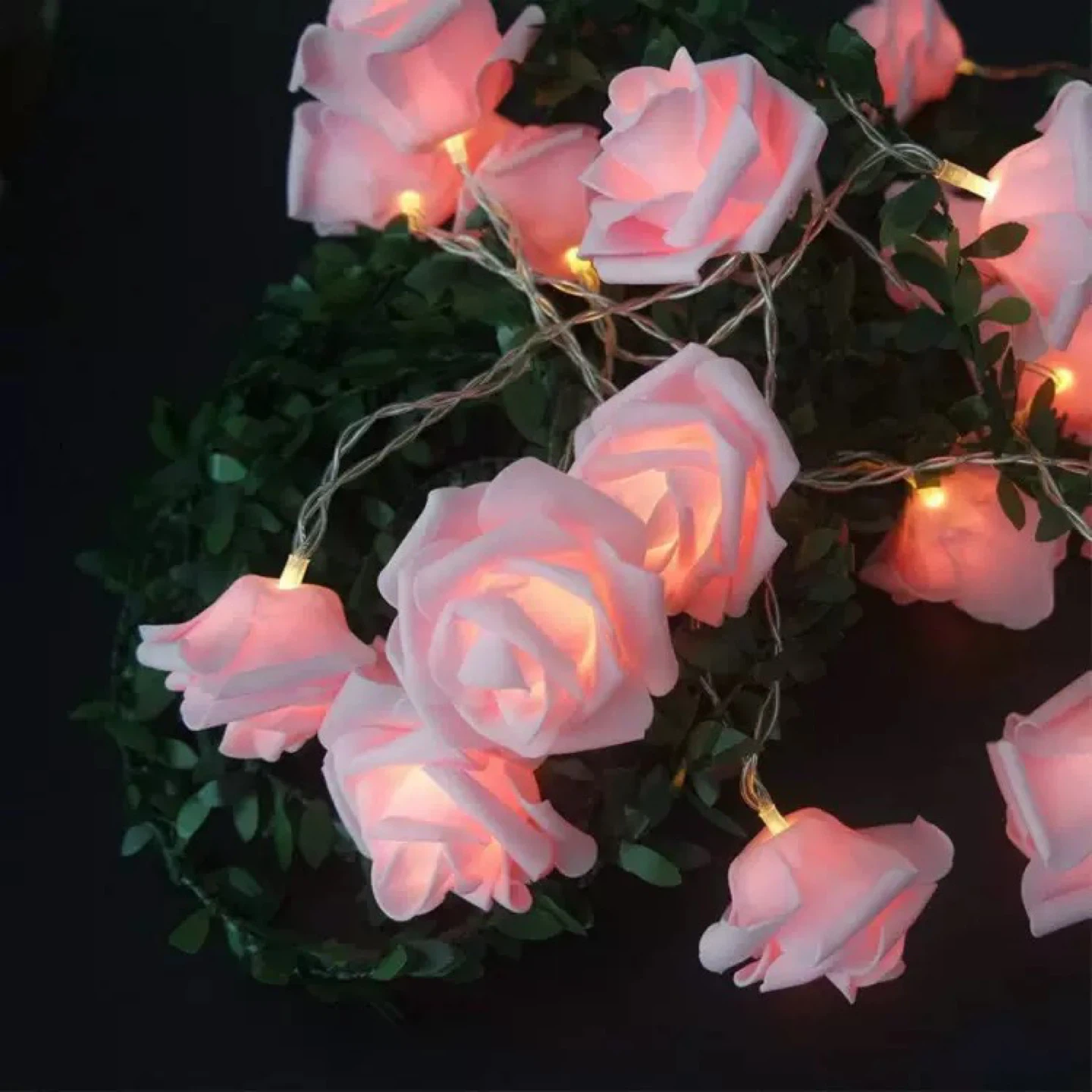 Rose String Lights home decor lights valentines 5ft - photo 5