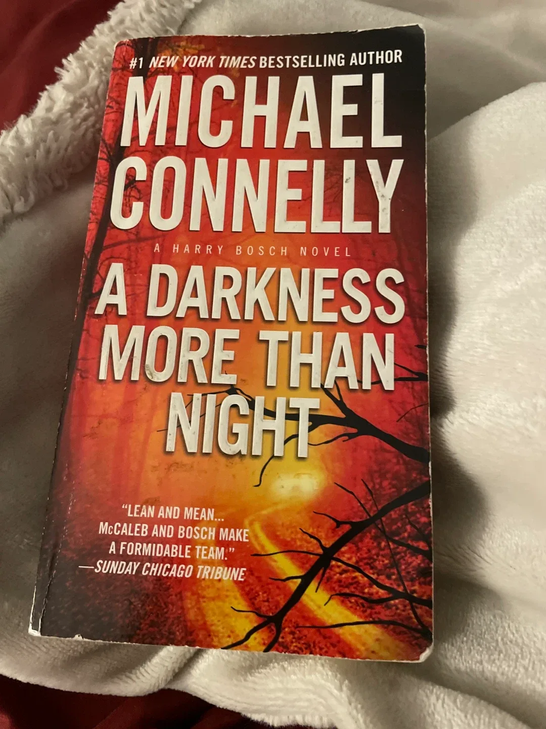 A Darkness More Than Night by Michael Connelly