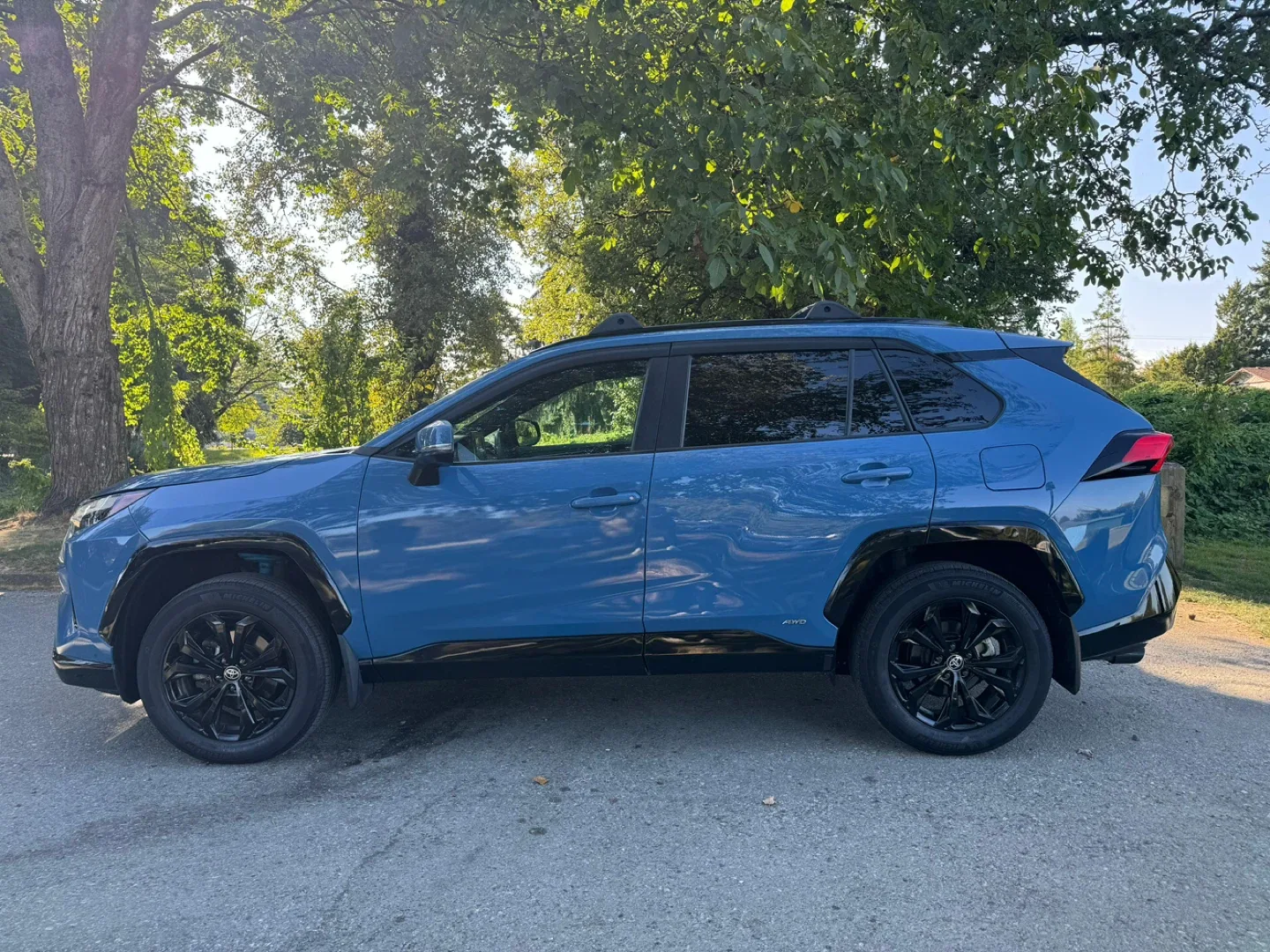 Toyota RAV4 SE Hybrid - Blue image indicator(2)