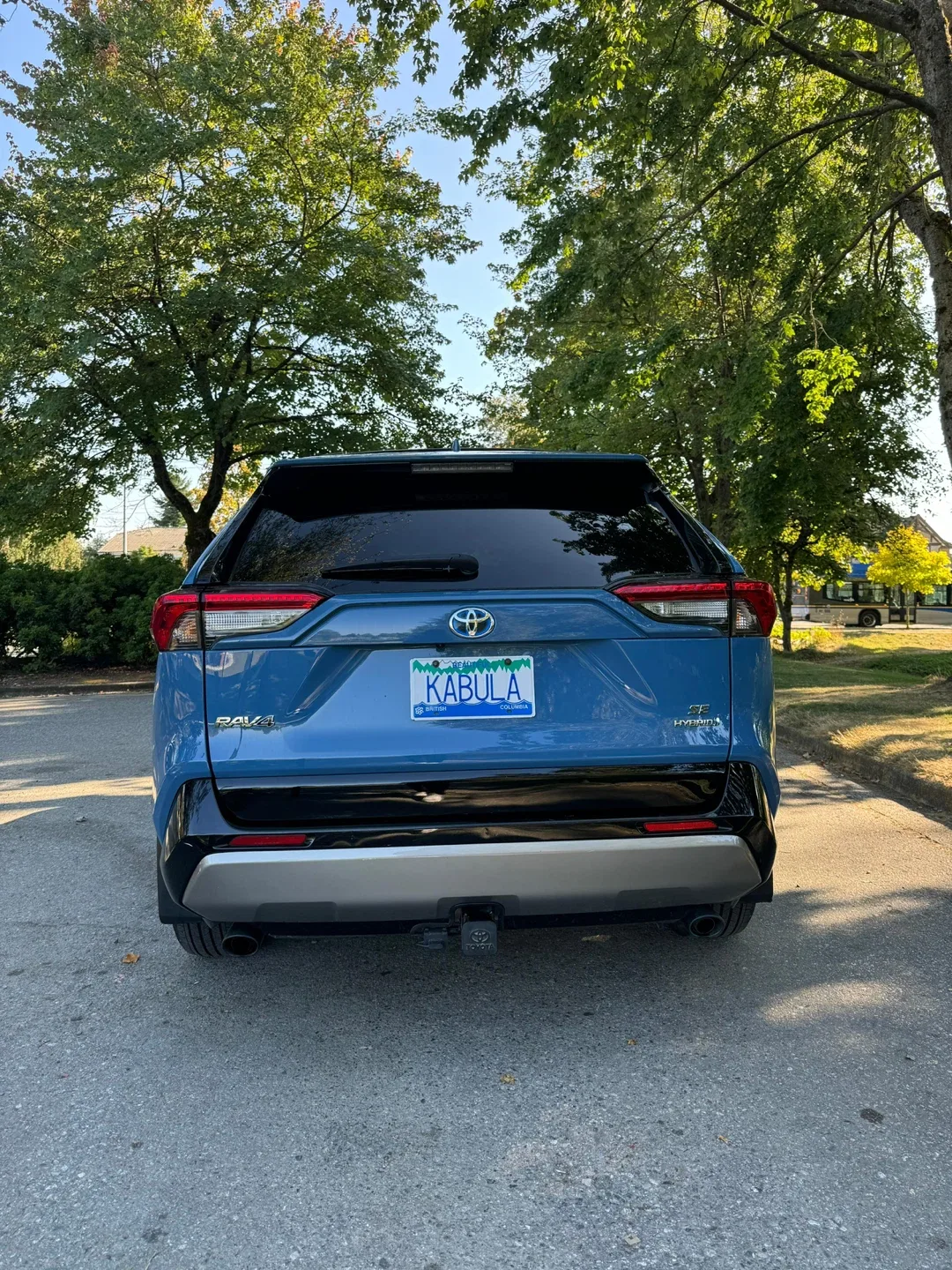Toyota RAV4 SE Hybrid - Blue image indicator(4)