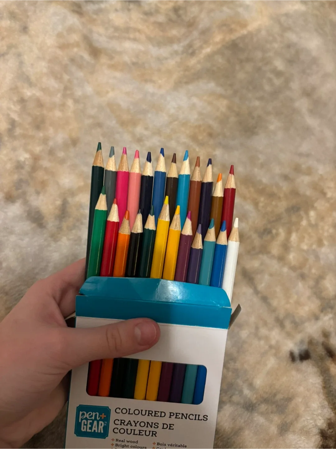 Pen+Gear 24 Coloured Pencils image indicator(3)