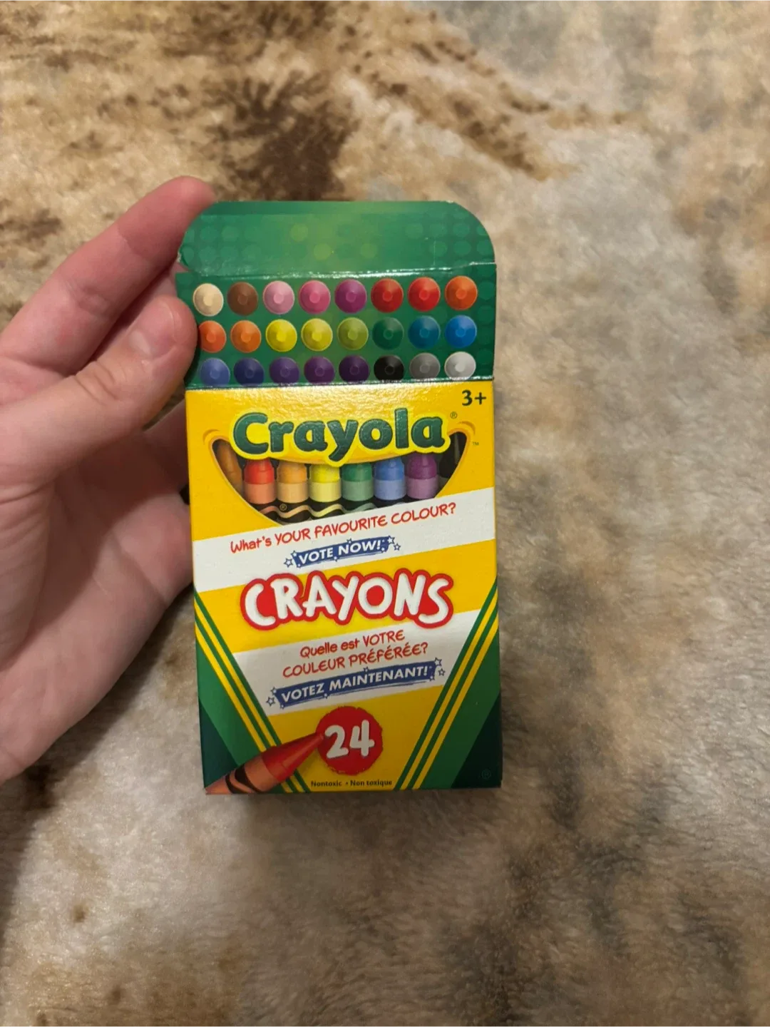 Pen+Gear 24 Coloured Pencils image indicator(4)