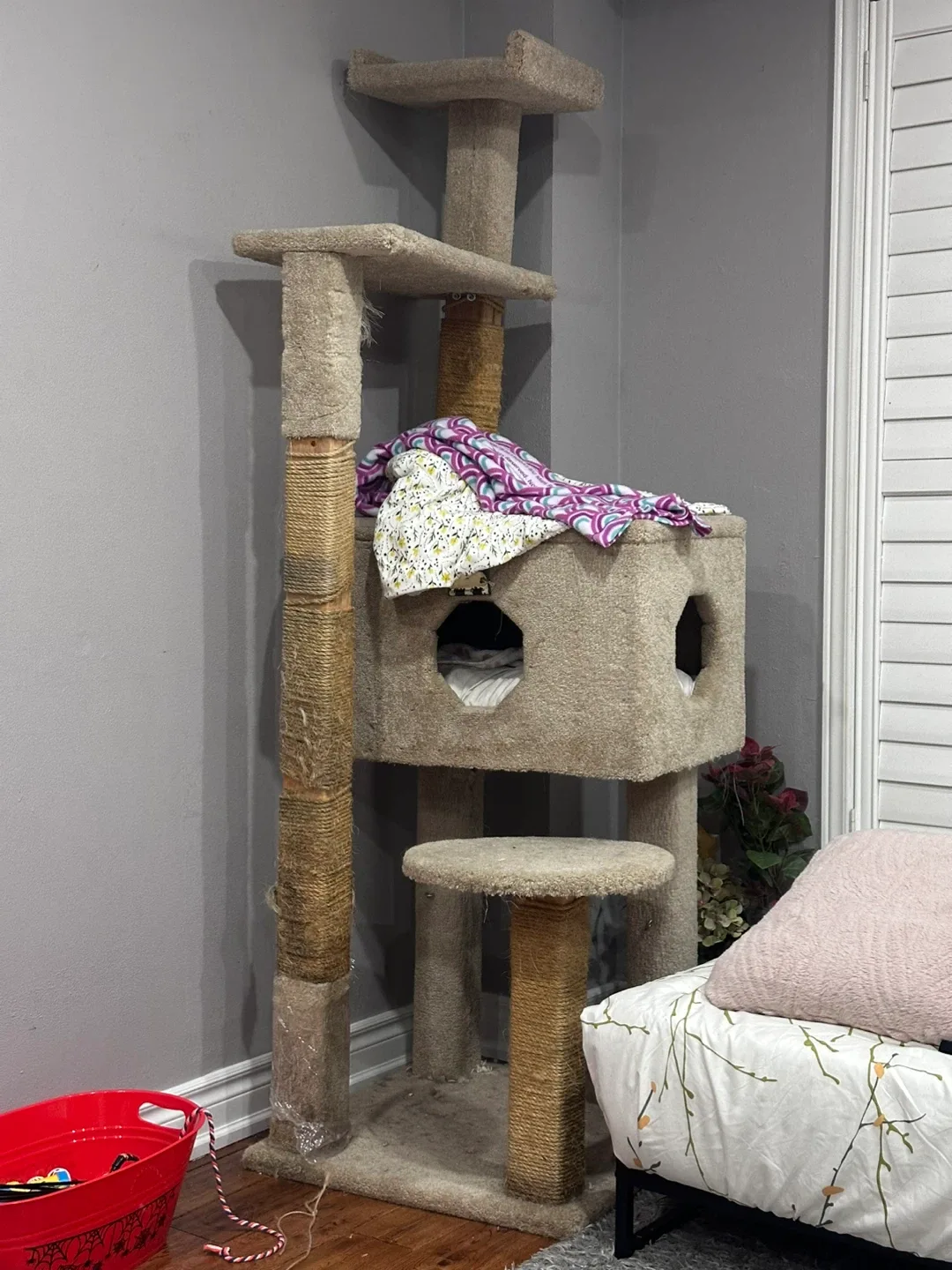 Used Cat Tree