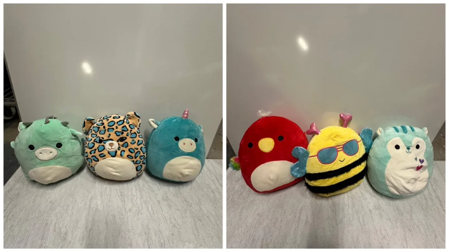 Various Squishmallow Plush Toy image indicator(3)