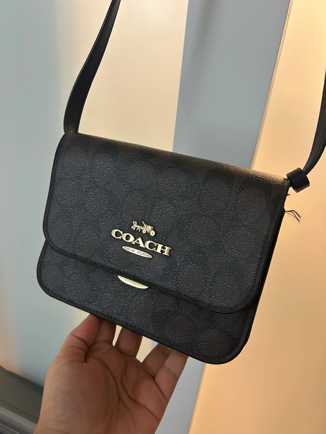 Coach Mini Bryan Black Crossbody Bag