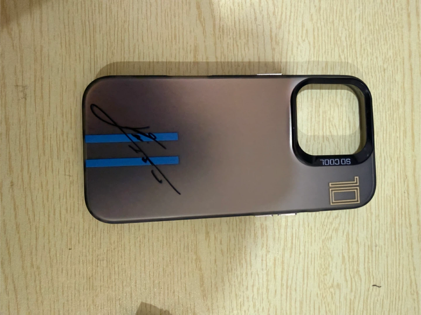 iPhone 16 Pro Phone Cases - photo 4